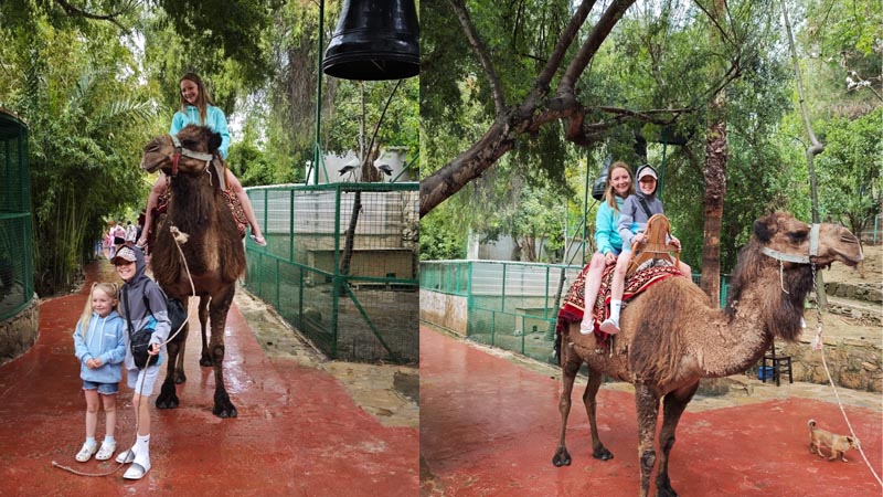 camel safari alanya