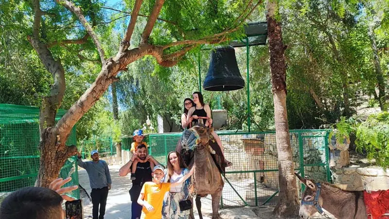 camel safari