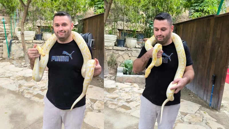 photo-with-snake-in-belek-antalya