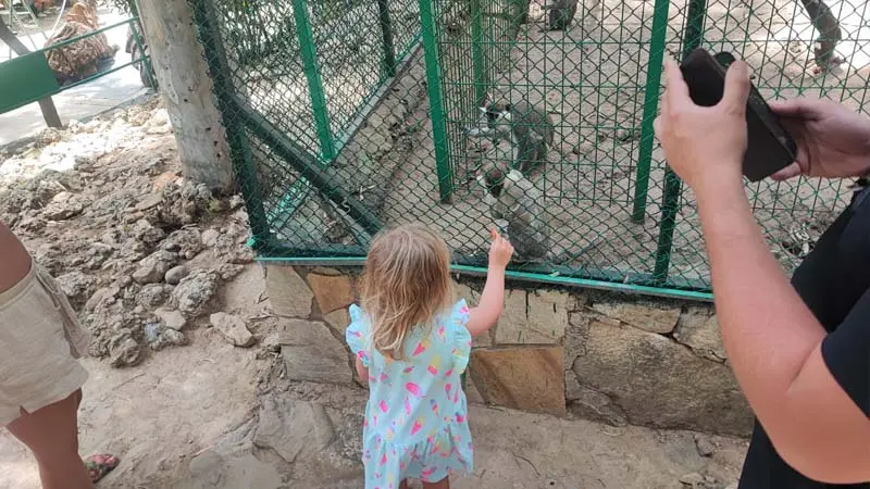 side zoo-park
