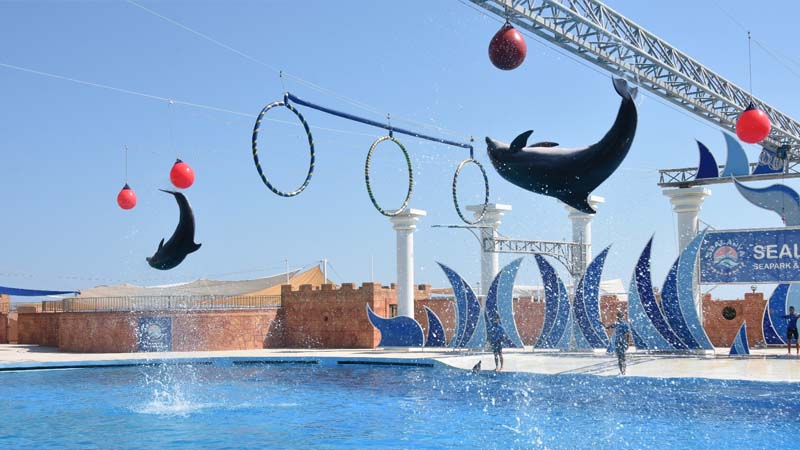 activity with kids in alanya