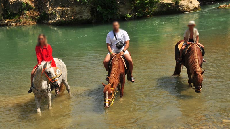 alanya horse safari