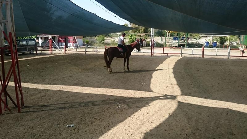 horse riding prices okurcalar