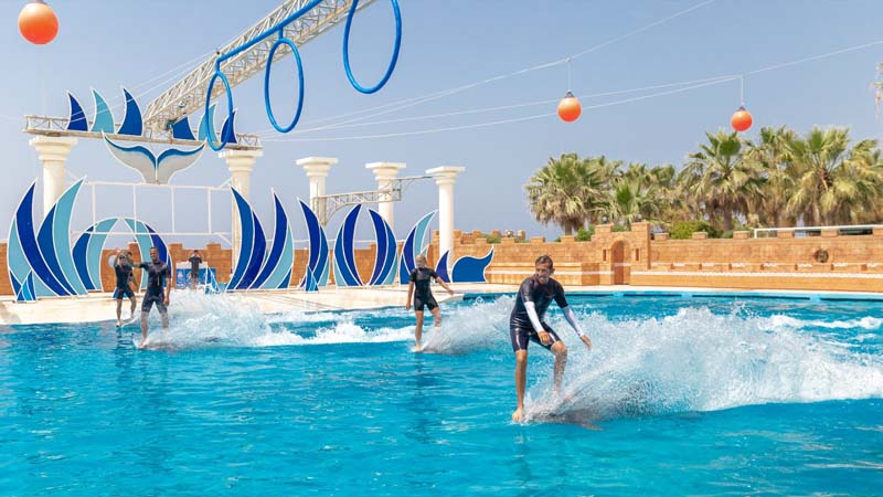 sealanya dolphin park alanya