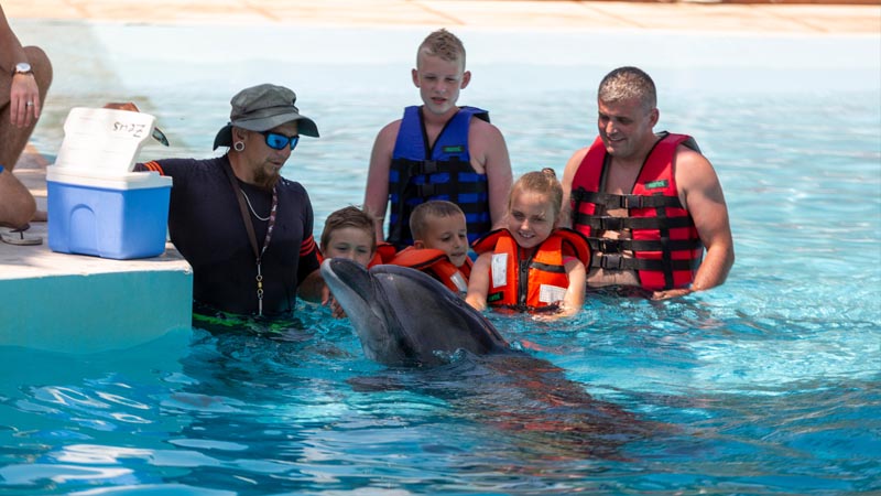 swimming dolphin with kids side