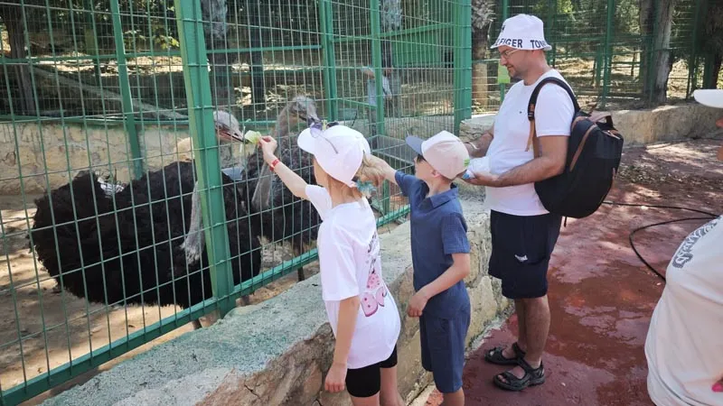 animal-feeding activity kemer