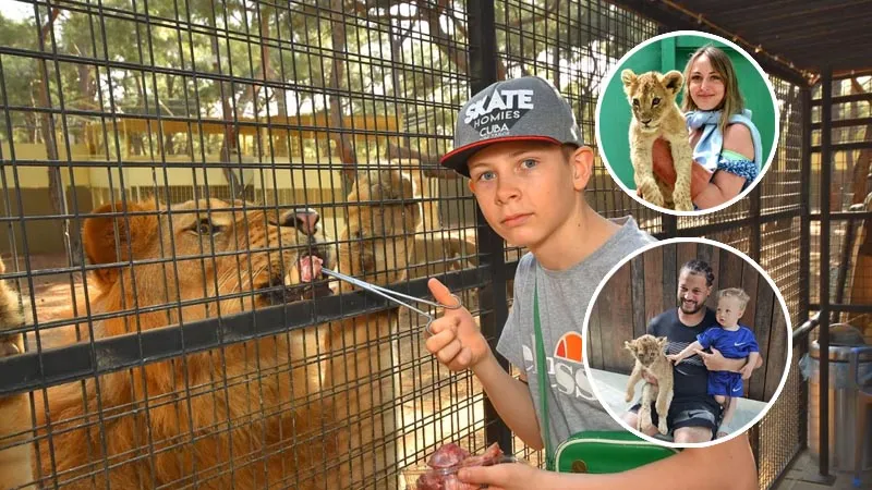 feeding-and-photo-with-lions in kemer