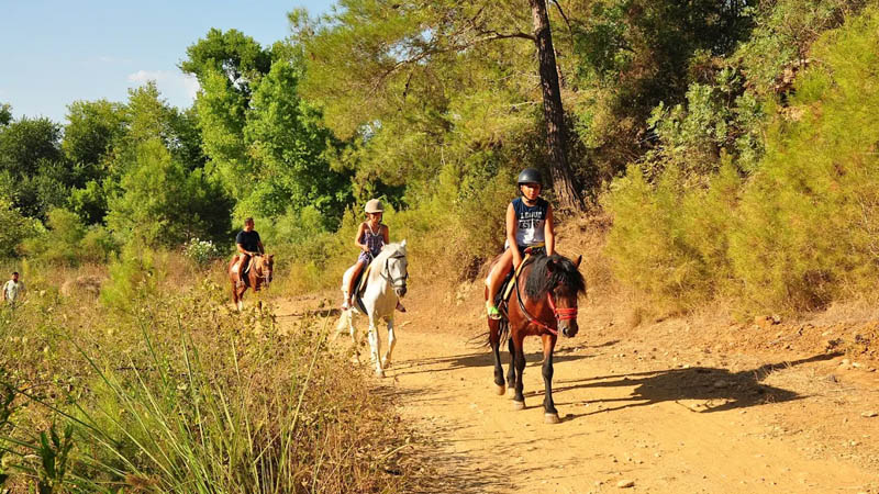 kundu horse safari