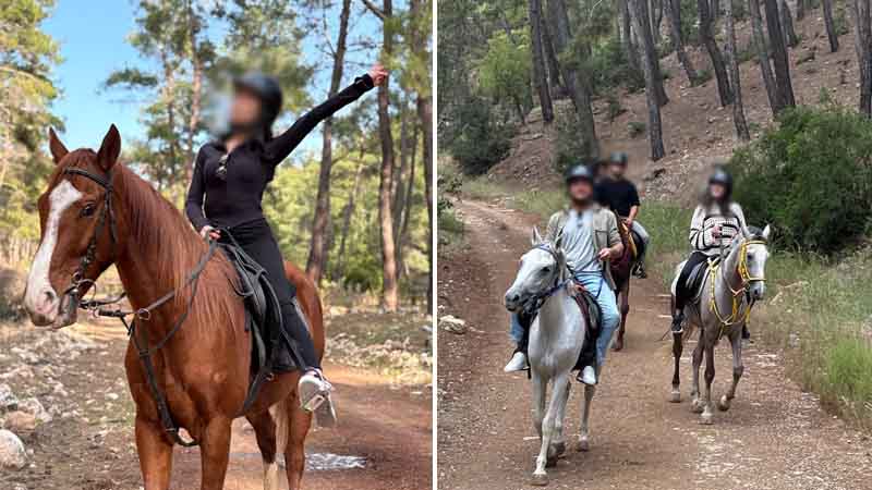 lara beach horse safari