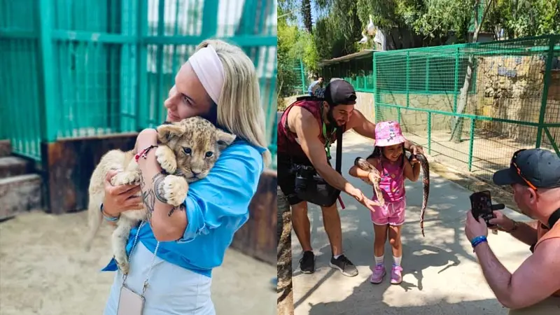 photo-with-lion cubs in kemer