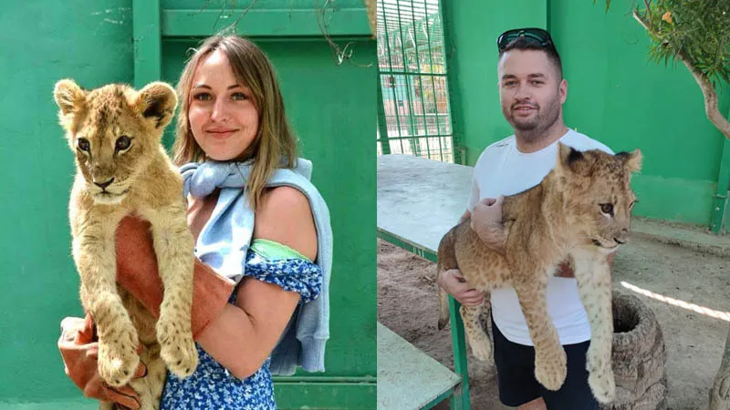 photo with lions in beldibi