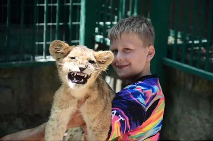 photo with lions in goynuk