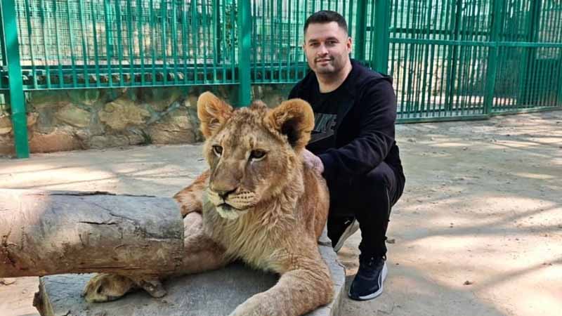 photos with lions kemer