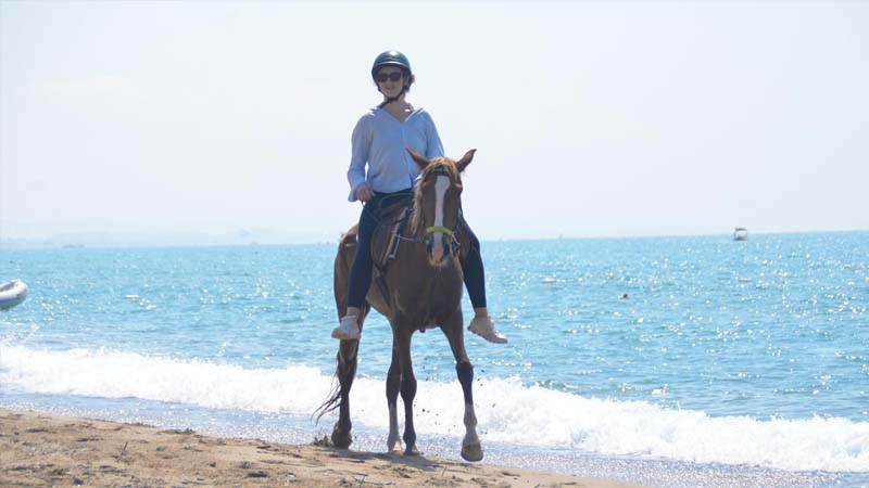 horse riding in side