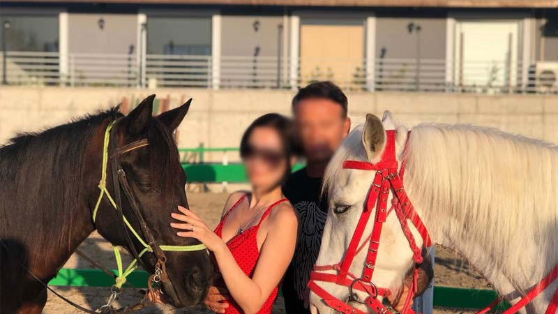 horse safari in side