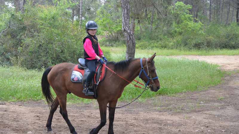 horseback riding in side