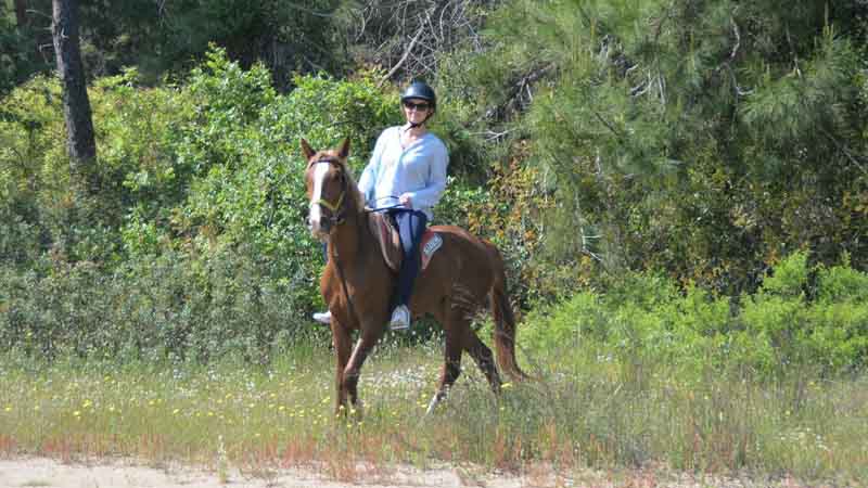 nature horse riding in side