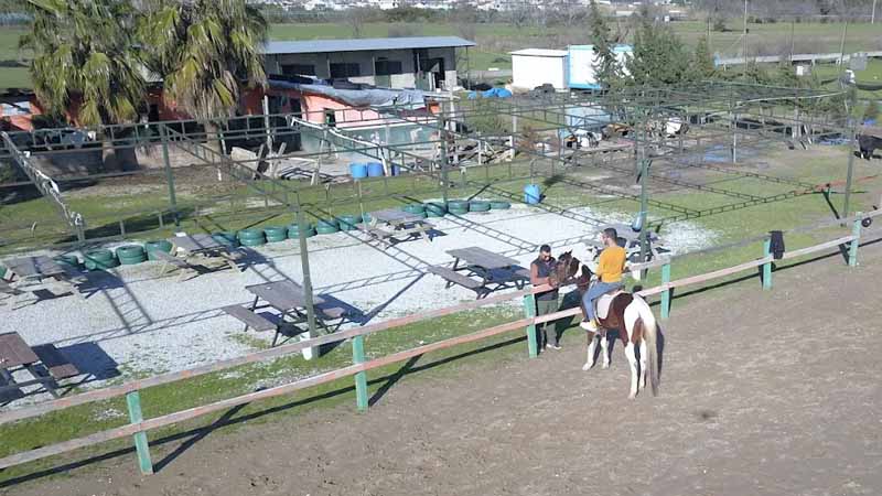 side horse ranch